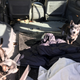 The dogs knew something was going on. To save them getting under my feet I just put them in the truck, then they know they are not getting left behind.